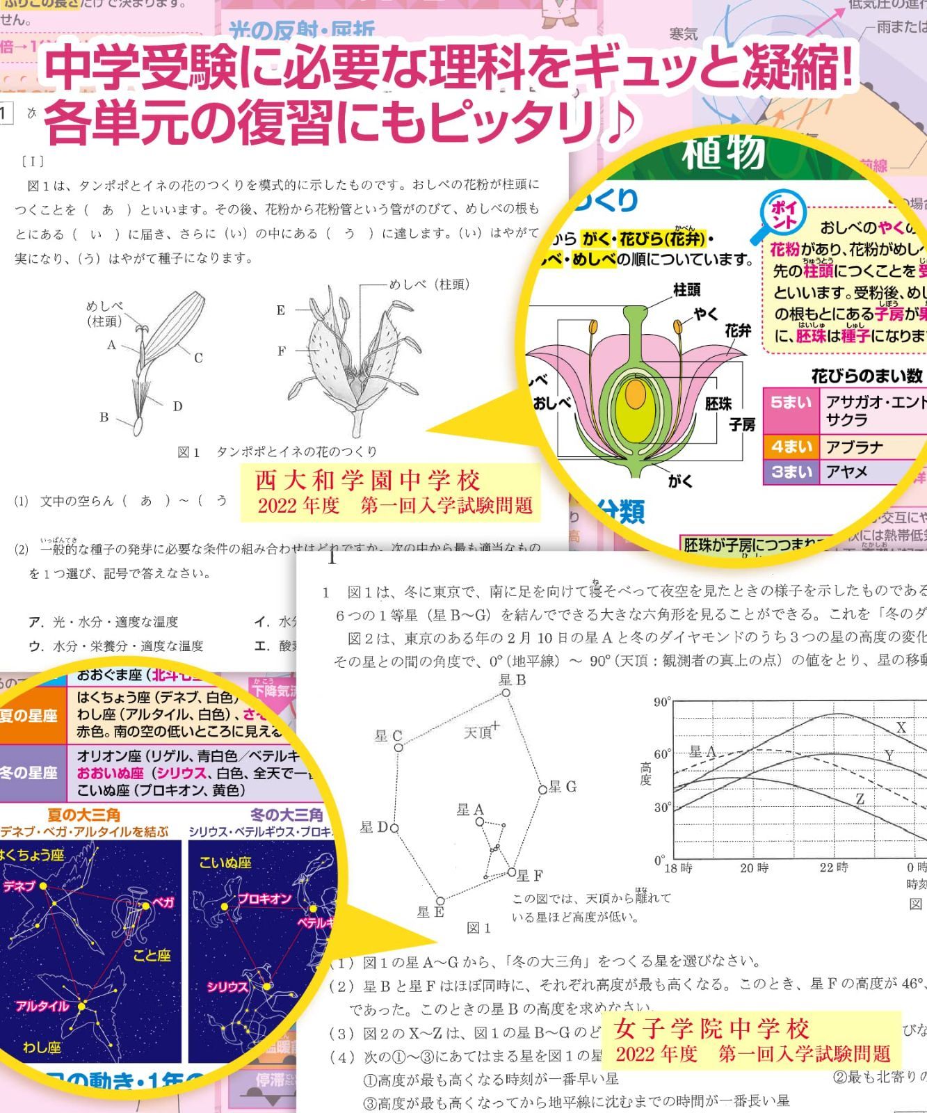中学受験に必要な理科まとめ