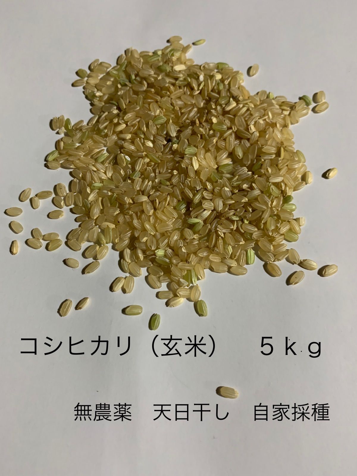 コシヒカリ　メルカリ　5kg　無農薬　玄米」　天日干し　自家採種　てんてこファーム