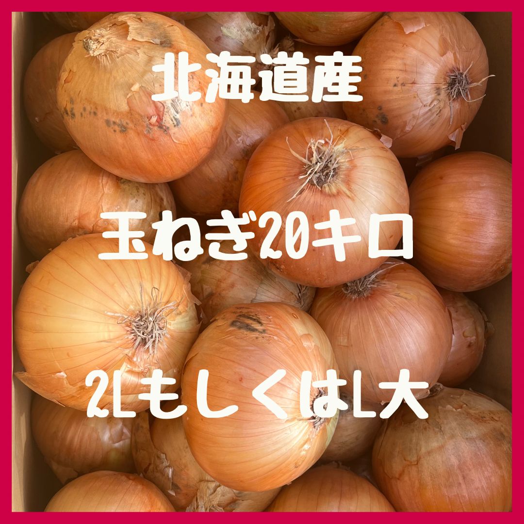 玉ねぎ 北海道 2０キロ L大 - 野菜