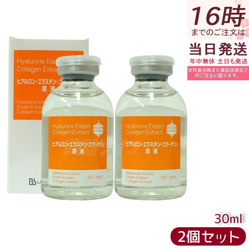 中古】 近世起請文の研究 / 大河内 千恵 / 吉川弘文館
