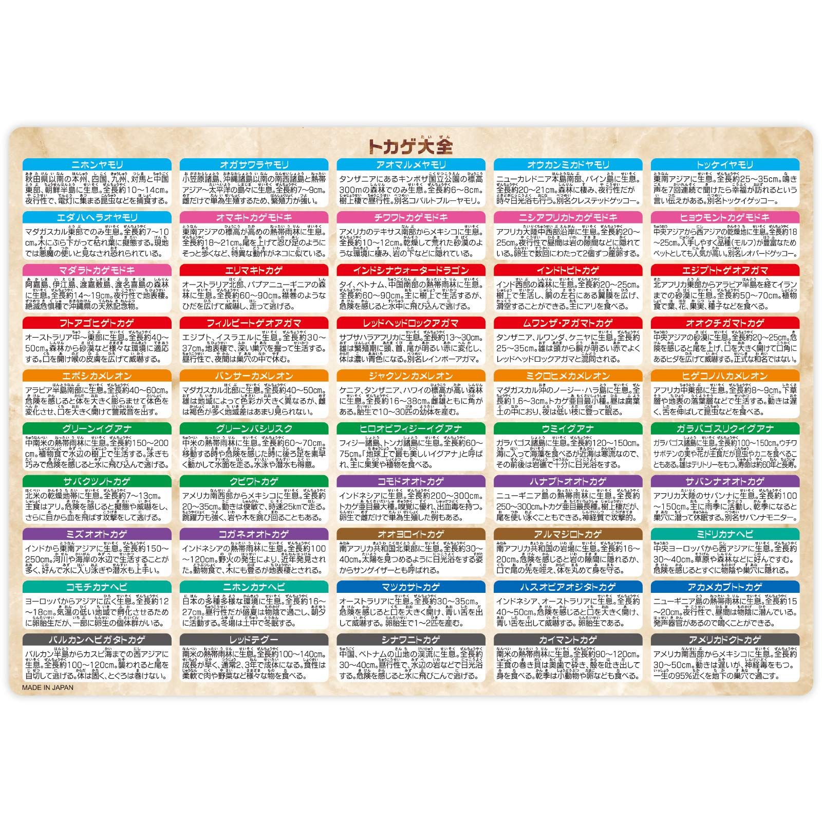 ザ アクセス 下敷き トカゲ 大全 水族館 A 4