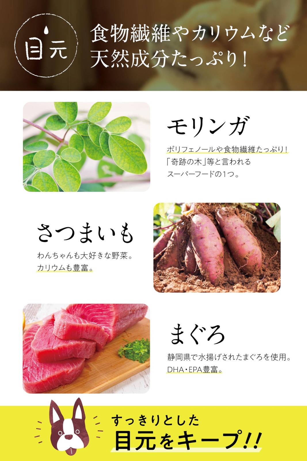 コノコトトモニ このこのごはん ドッグフード 犬の餌 全犬種 全年齢対応 国産 無添加 厳選自然素材 ペットフード ドライ ドックフード 小型 中型 大型犬 子犬 シニア 小麦グルテンフリー 1kg このこの御飯 3袋 WWW_SKLAD-KIRPICHA_RU