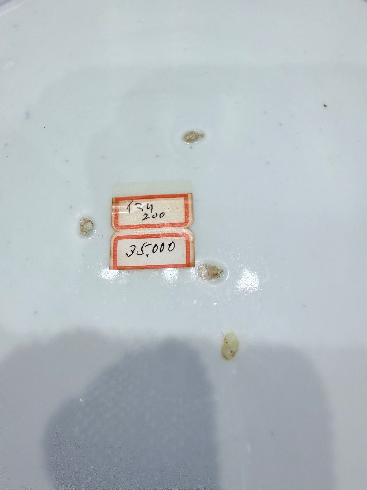 大皿 色鮮やかな花鳥模様