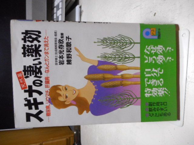 古本］天然薬スギナの凄い薬効 糖尿病、リウマチ、肝臓病・・・なんとガンまで消えた 21世紀ポケット＊岩本光存欣・辨野和歌子＊主婦と生活社 #画文堂 -  メルカリ