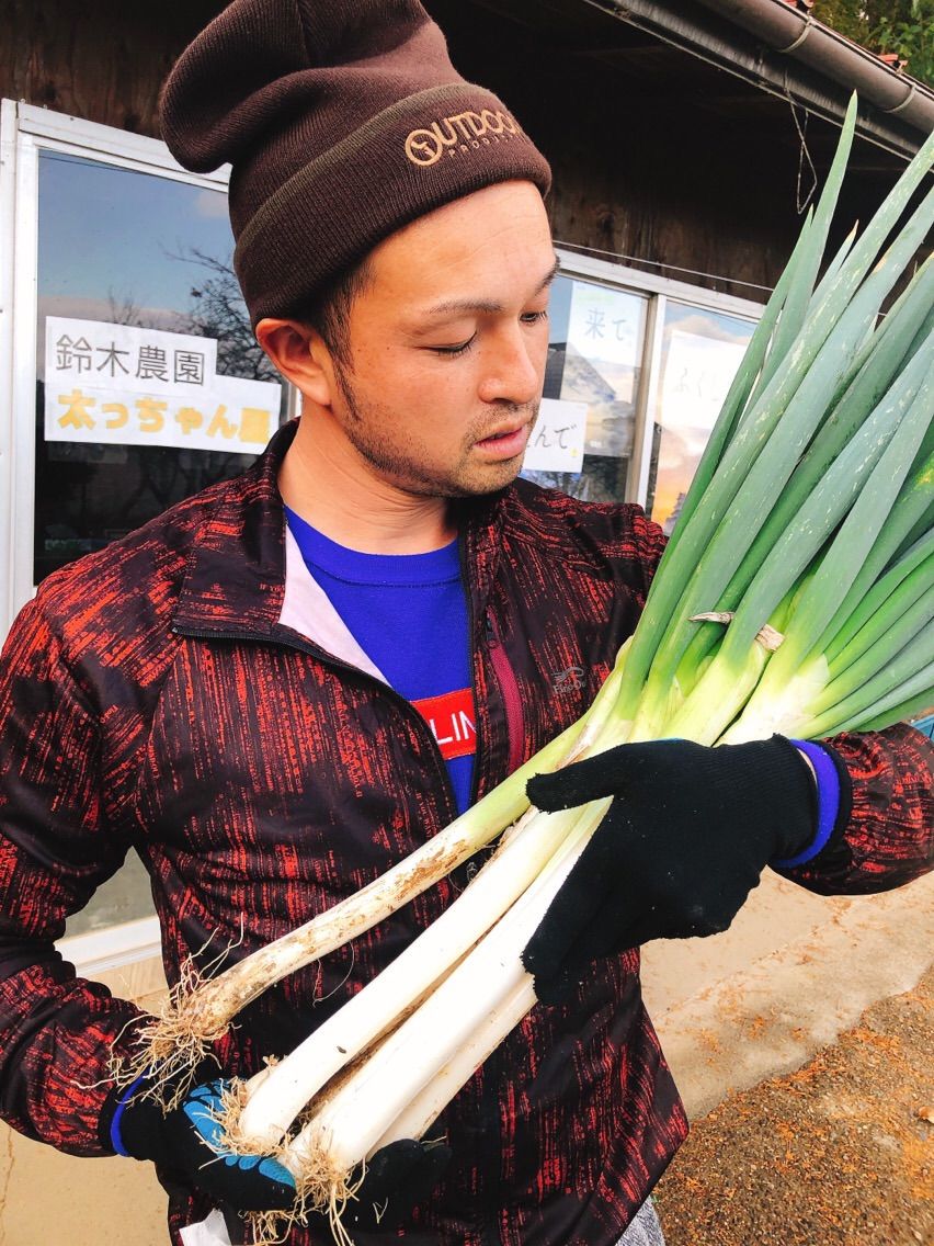 太っちゃん屋の極うま長ねぎ　皮むき15kg 太っちゃん屋の極うま長ねぎ 皮むき15kg