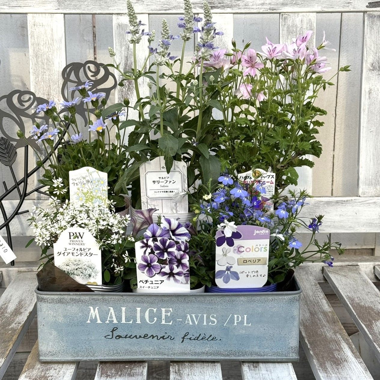 グリコ おまけ〈お花・鉢植え 5点セット〉 グリコ おまけ〈お花 鉢植え 5色 5点セット〉 - メルカリ
