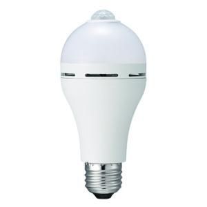 5営業日で発送 YAZAWA LDA8DGBPX10