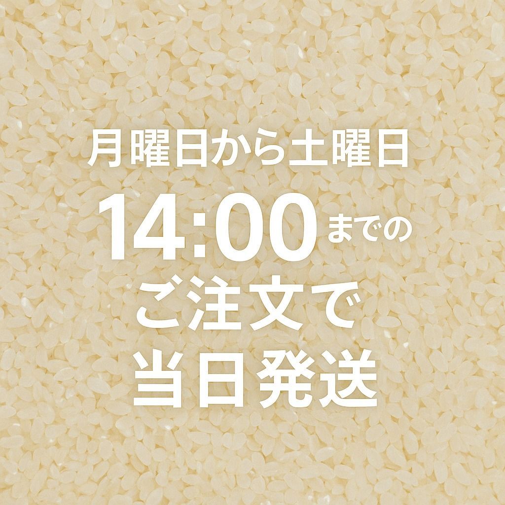 米粒様♡専用♡他の方が購入されても、発送致しません。 🌾新米🌾千葉県産ふさおとめ10キロ(5キロ×2袋)🌾玄米🌾令和7年産