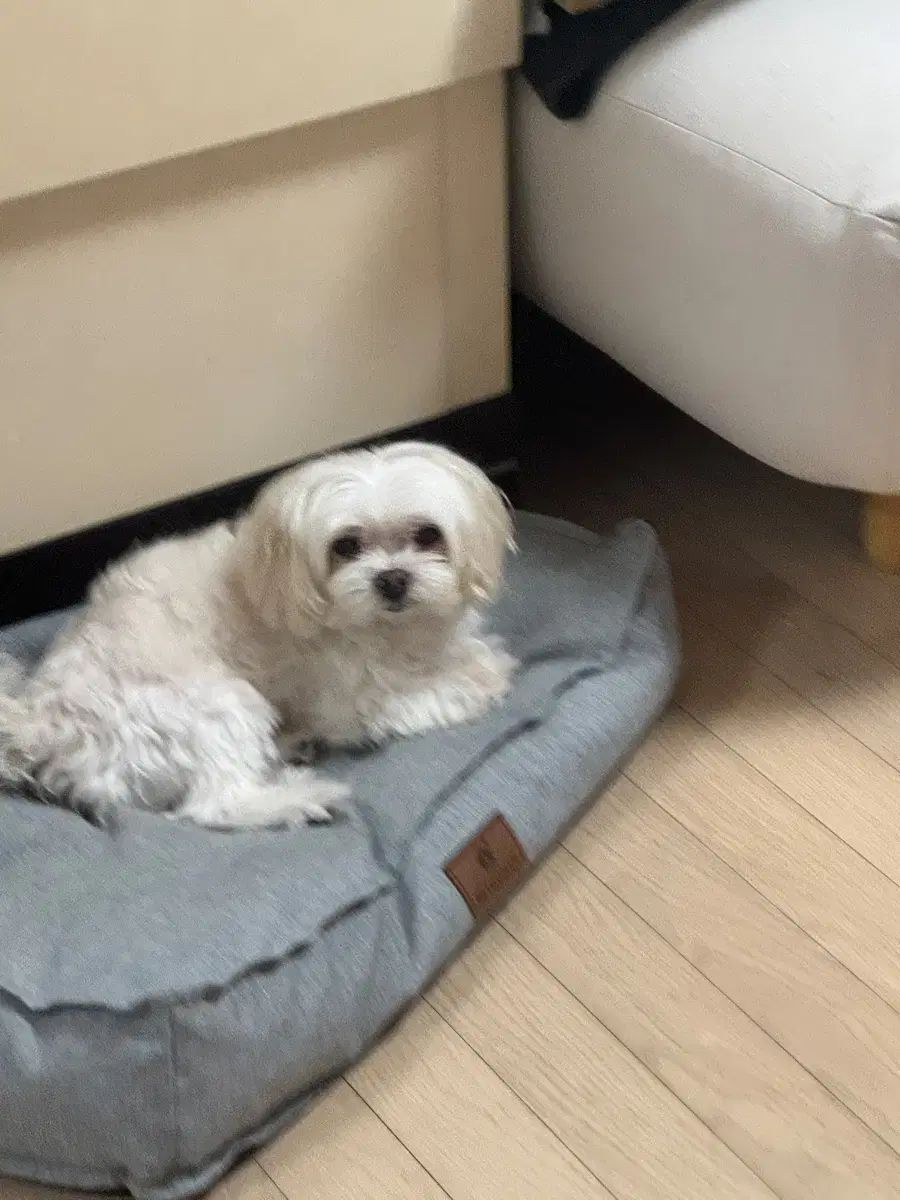 単品でのお値下げ不可！☺︎♡ 修正中 - メルカリ