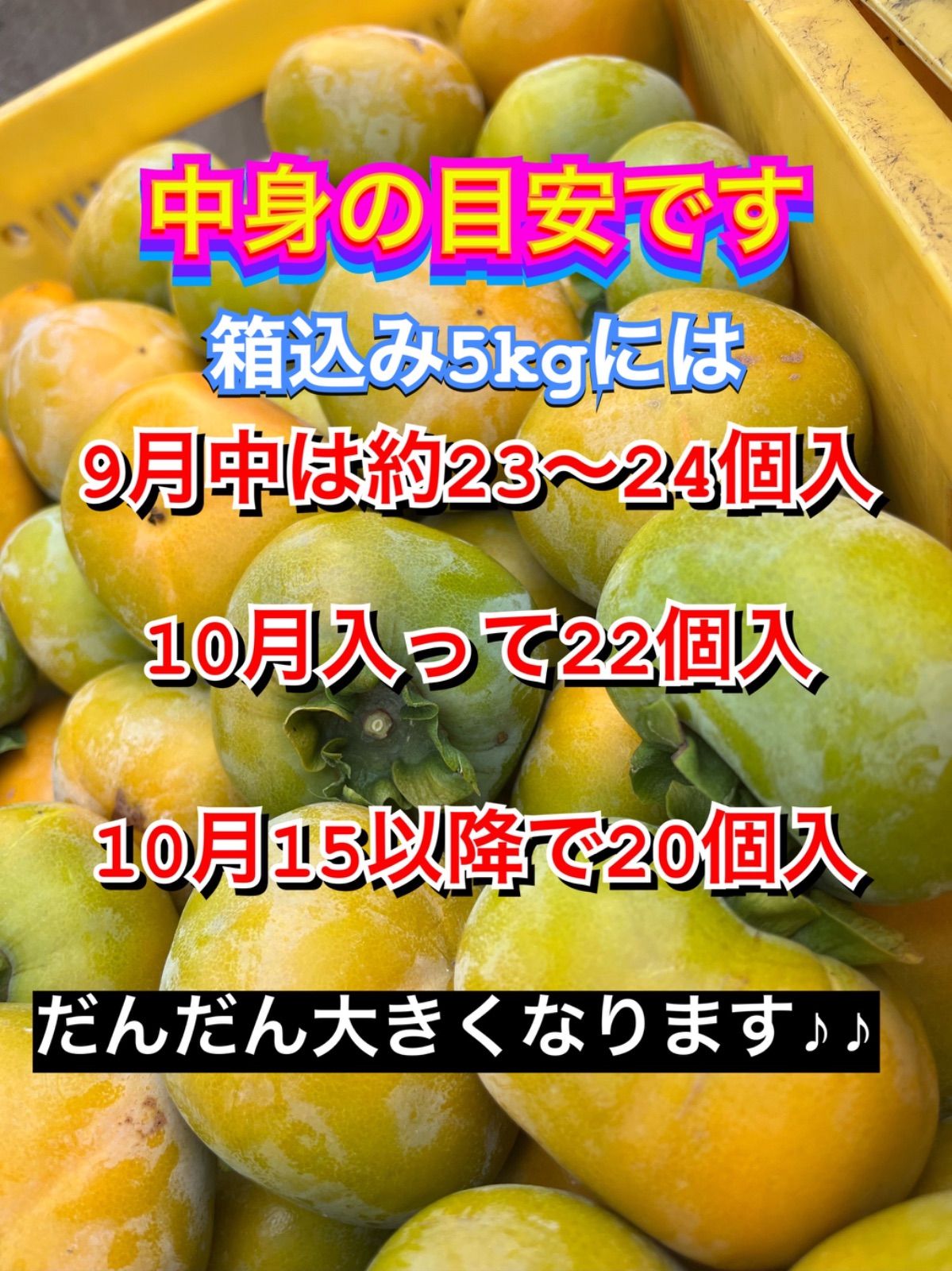 予約ハイジさん専用 柿 箱込 5キロ 刀根柿 種無し 家庭用 なおキングの柿 予約注文 9月20日ぐらいから 柿 箱込 5キロ 刀根柿 種無し 家庭