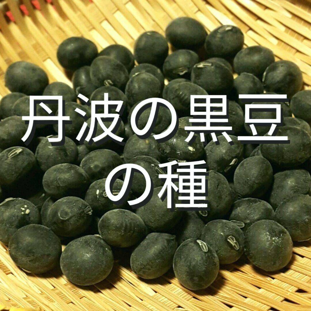 丹波の黒豆の種(豆)　メルカリ