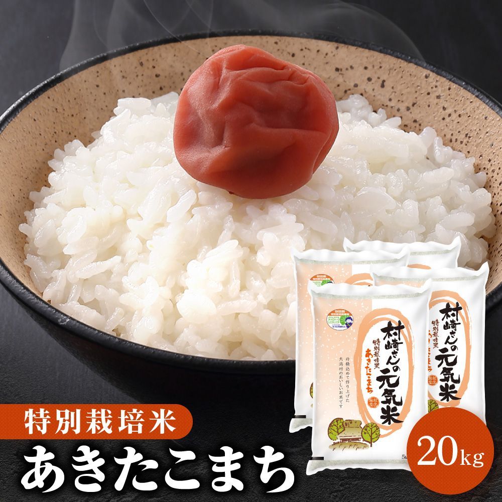 令和6年産 特別栽培米 20kg 秋田県大潟村産 あきたこまち 沖縄配送不可