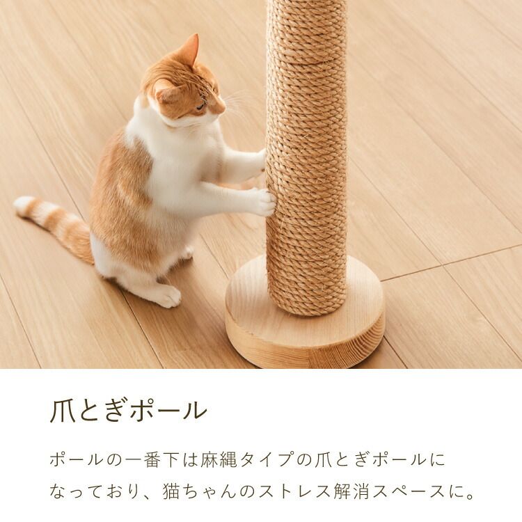 宇宙船付 滑り止め