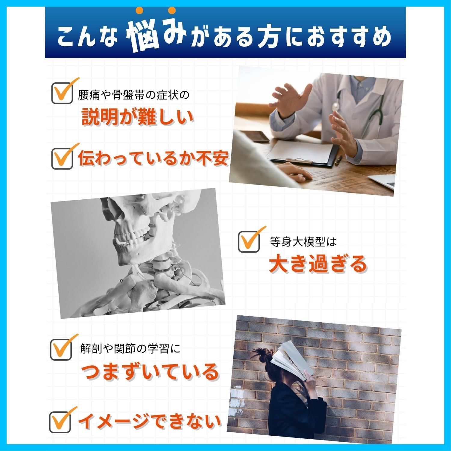 骨盤 KIYOMARU