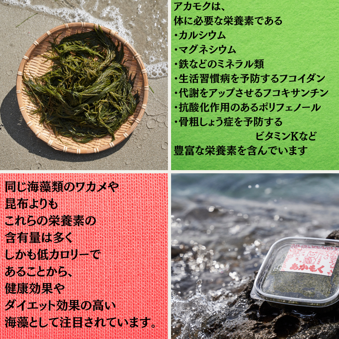 【天然アカモク】玄界灘の海成のアカモク　あかもく900ｇ|海成