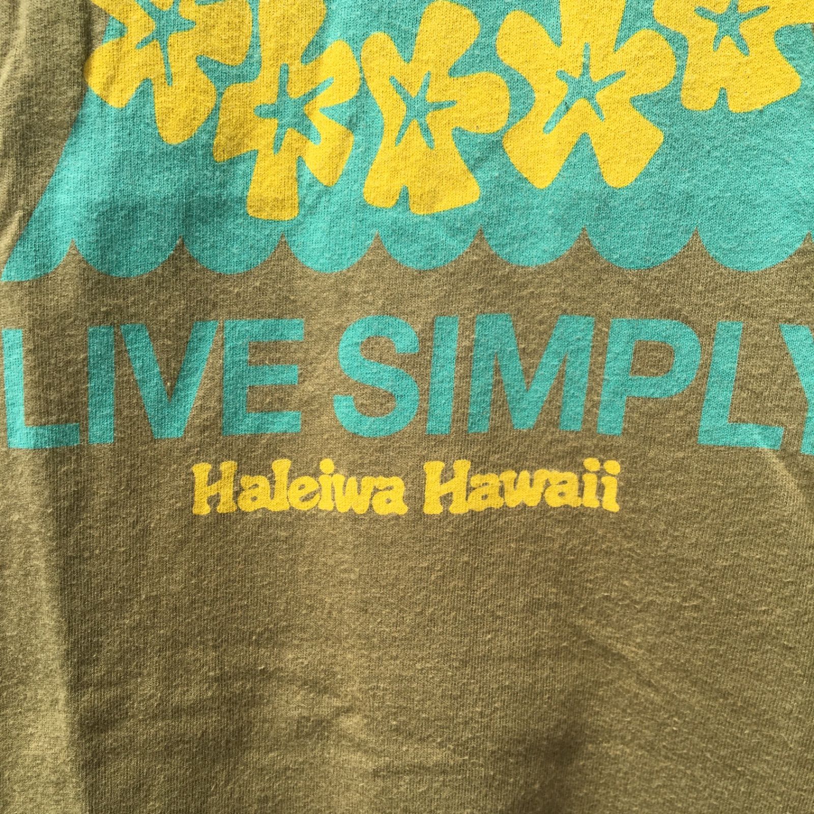 Patagonia】Live Simply Haleiwa T-Shirt US-S パタゴニア オーガニックコットン ハワイ ハレイワ限定 Tシャツ  レディース