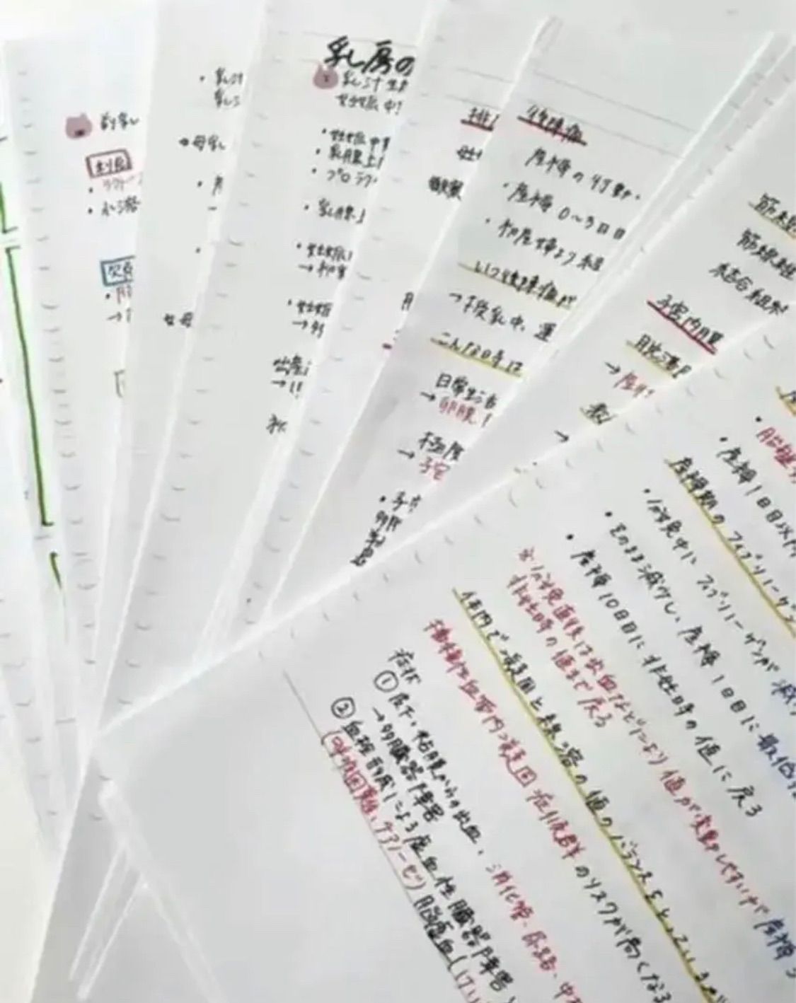 ☆ 看護師 看護学生 助産師 助産学生 ☆ 産褥期 まとめノート ☆ 看護師 看護学生 助産師 助産学生 ☆ 産褥期 まとめノート