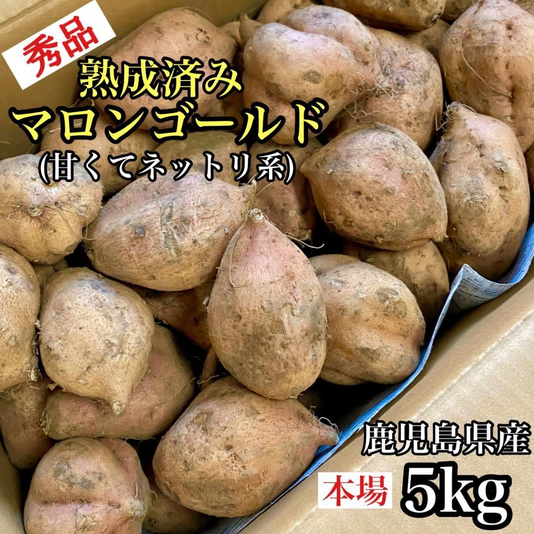 美味しさ最高峰！とろとろ熟成◎秀品 マロンゴールド 5kg さつまいも