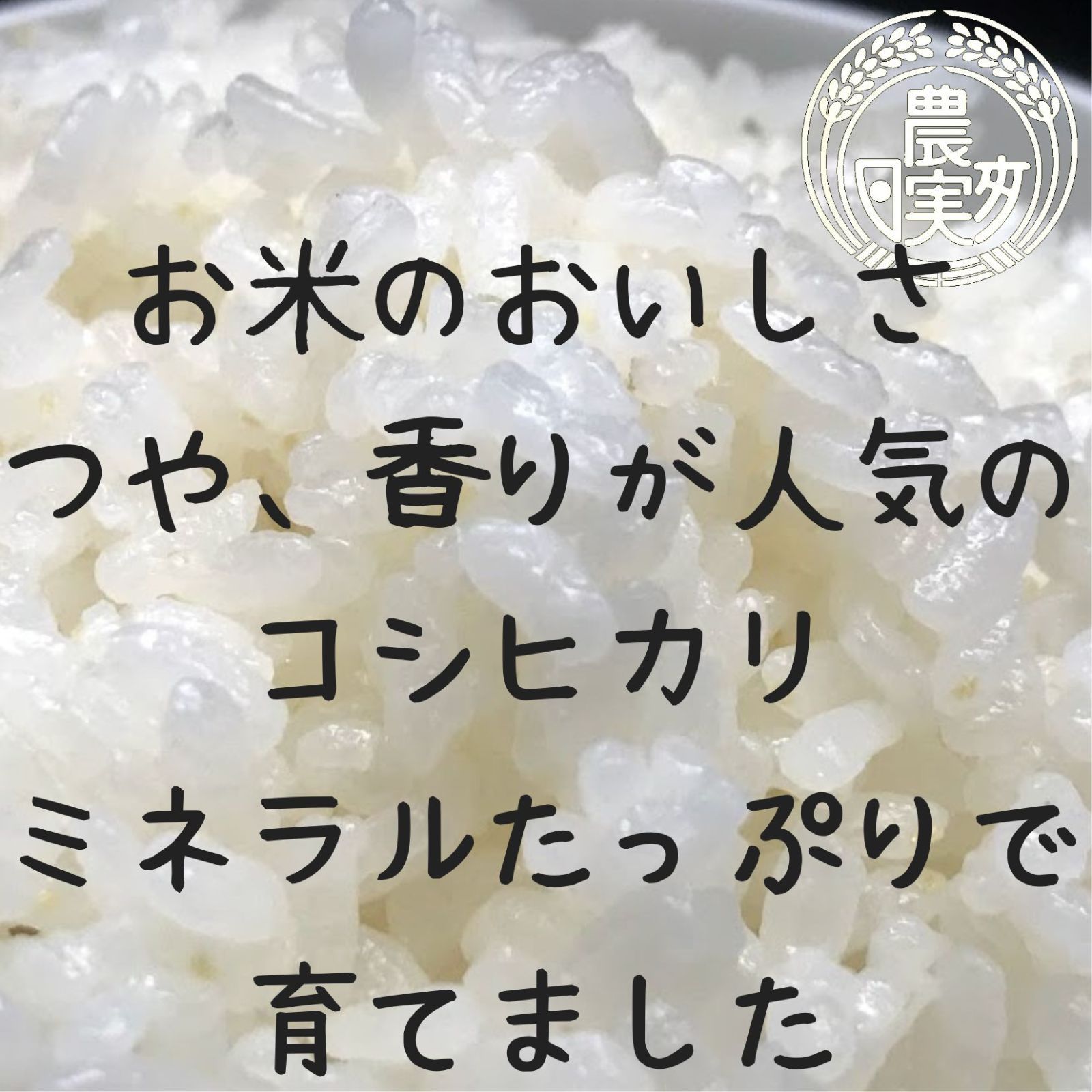 農業学校の学生と作った【コシヒカリ】玄米10kg　令和4年産新米　お米10キロ-2