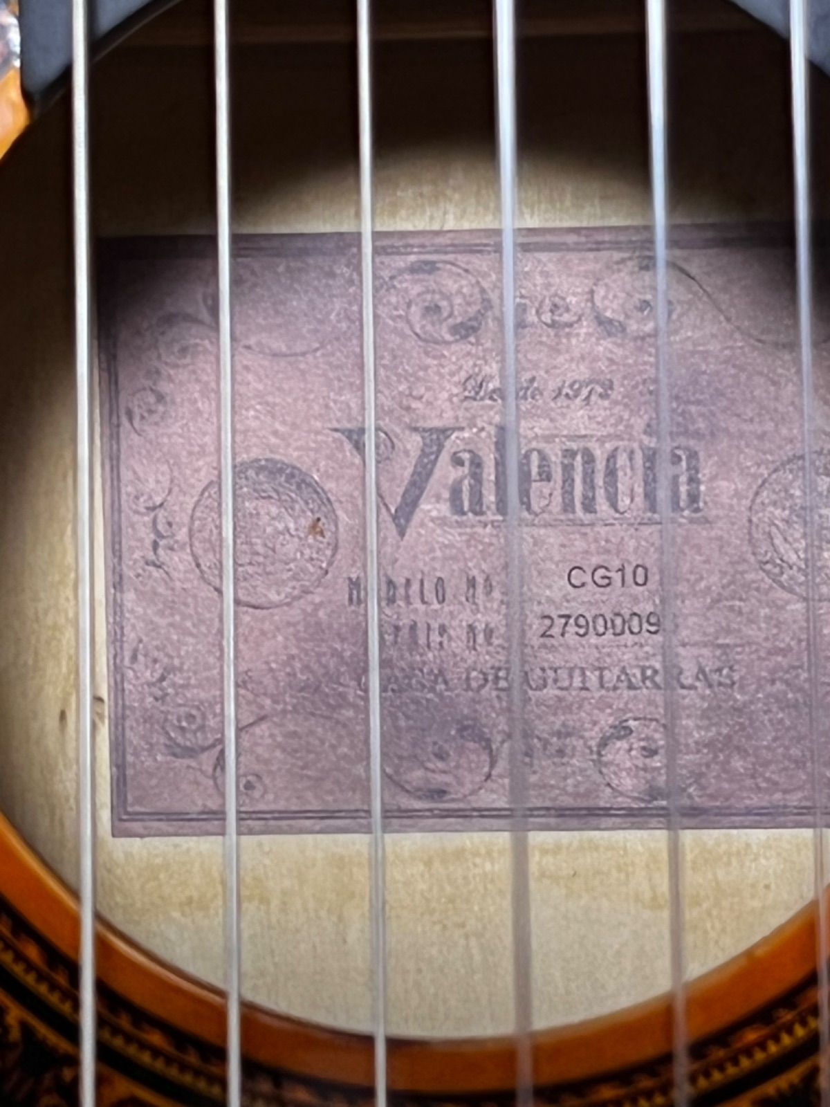 Valencia バレンシア ギターソフトケース付き CG-10 CG10 - メルカリ