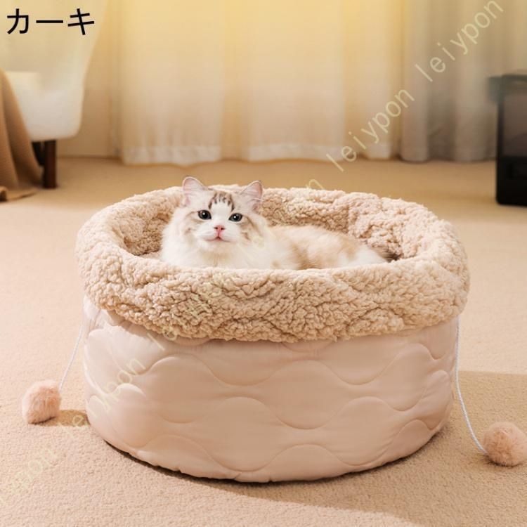 冬