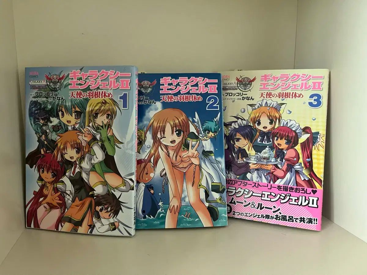 コレクション用