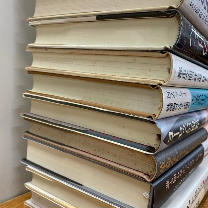 ■01)【同梱不可】ヨーロッパ史・社会学など関連本 まとめ売り約30冊大量セット/フランス/世界史/思想/革命/産業/パリ/政治文化/歴史/B □01)【同梱不可】ヨーロッパ史・社会学など関連本 まとめ売り約