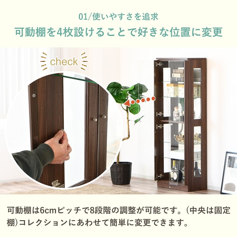 図鑑