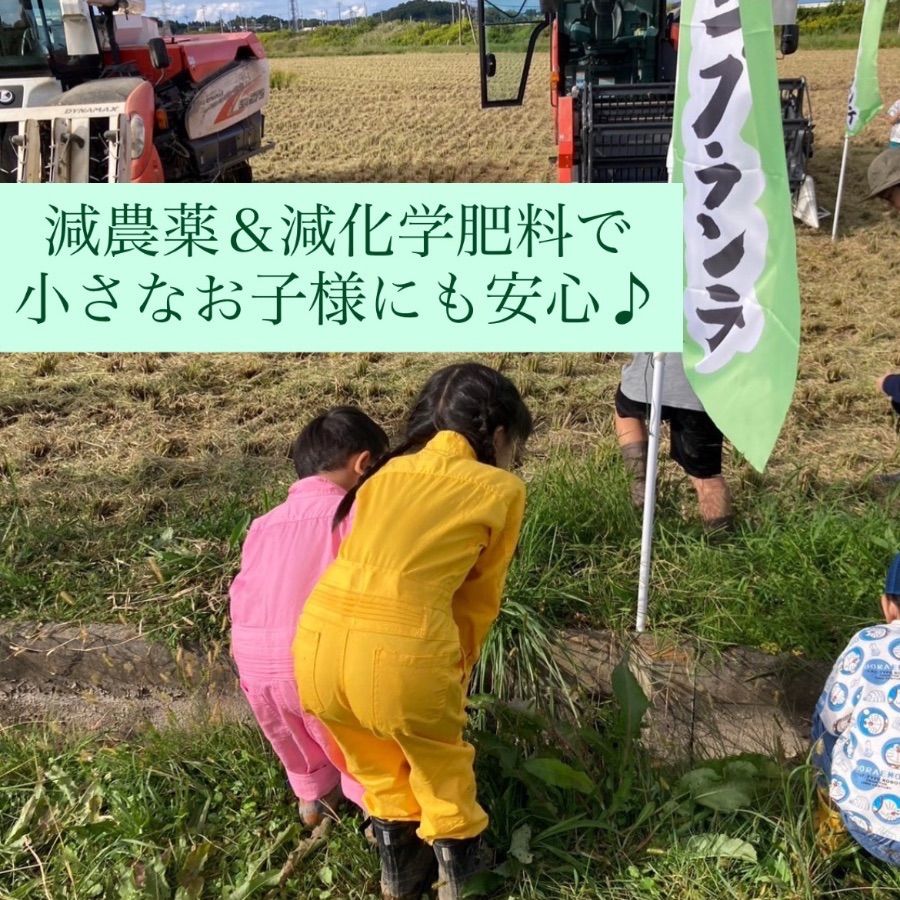新米】農家直送！令和7年度 減農薬 新米】令和7年8月
