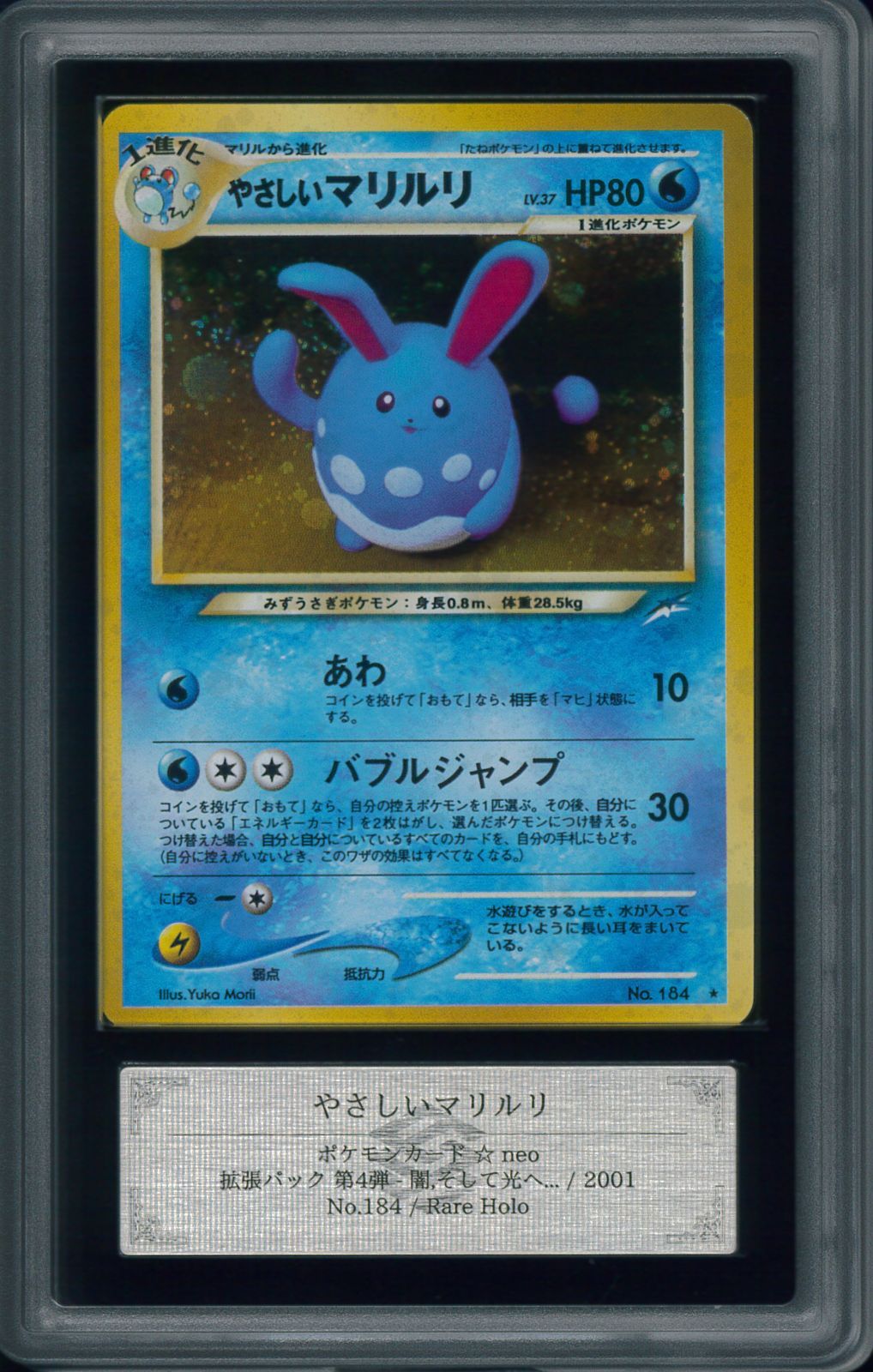 2005 ルリリ/マリル/マリルリ PSA 10 - カルドバ【ポケモンマリルリ】
