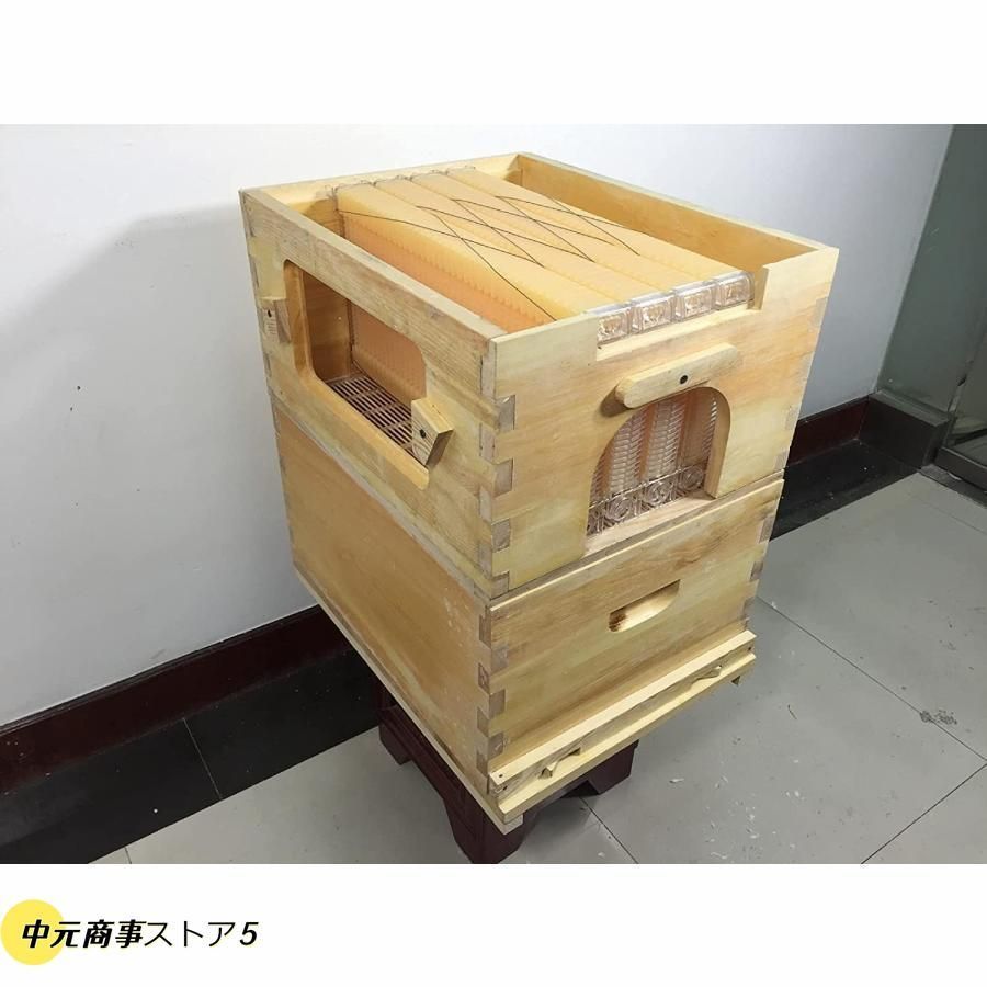 巣脾