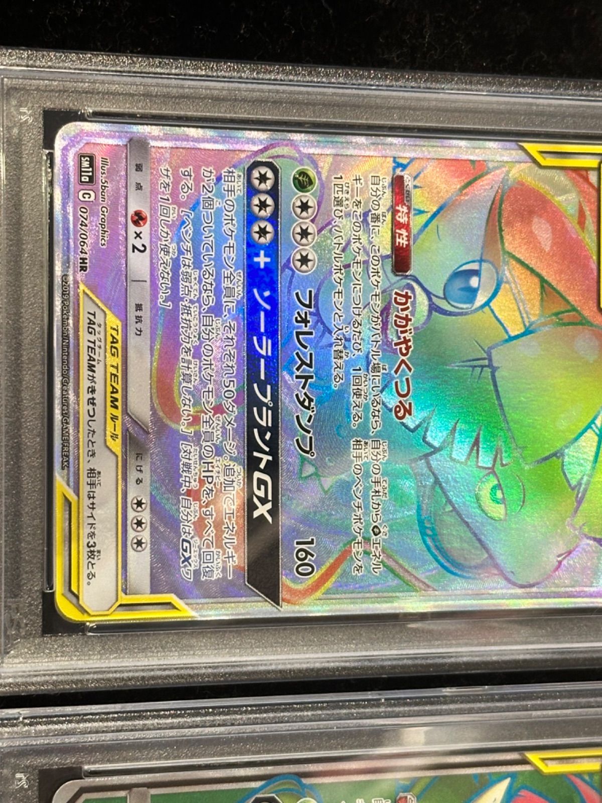 連番〔PSA10〕フシギバナ＆ツタージャGX【HR】{074/064} [その他