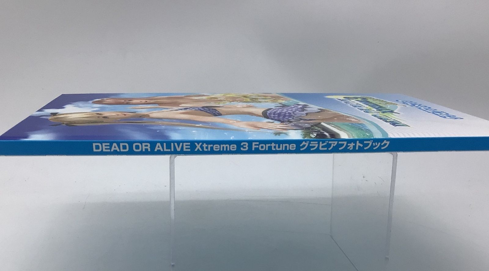 デッドオアアライブ Xtreme Scarlet ヴィーナス フォトブック Amazon.co.jp: デッドオアアライブ DEAD OR ALIVE Xtreme 3