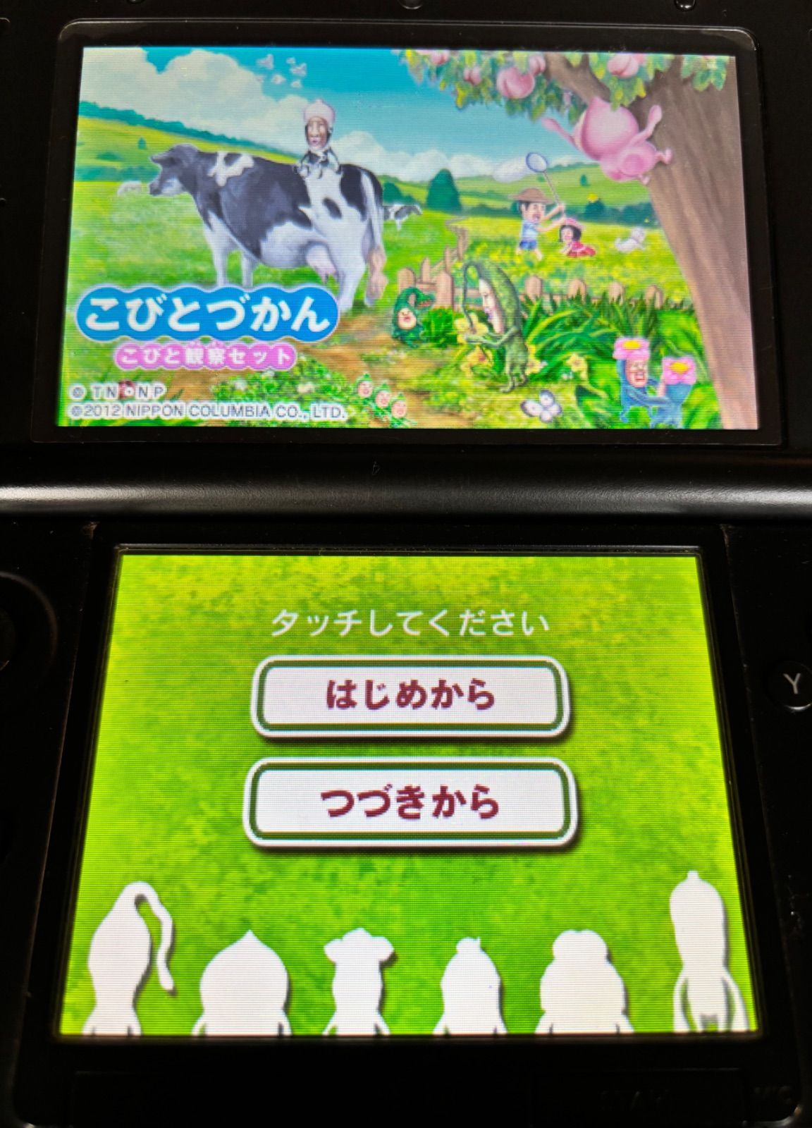 Nintendo 3DS/DS ソフト本体のみ2点セット 動作確認済み 〜こびとづか
