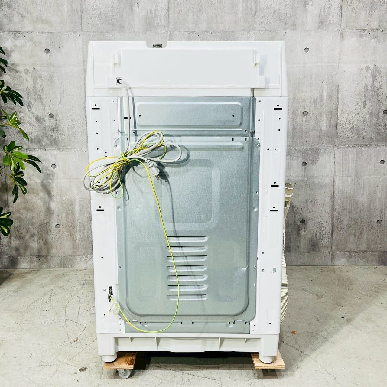 8.0kg 14
