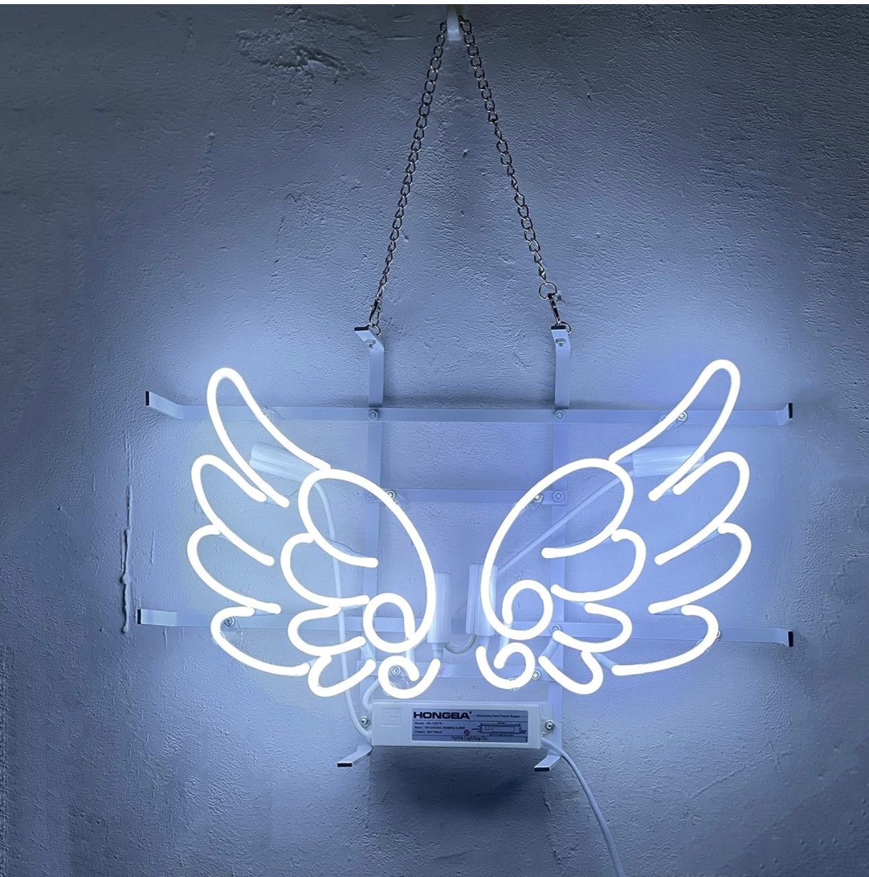 キャンペーン電球付き ジルジャン18インチ ペンダント照明 シンバル