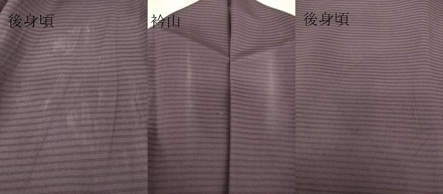 絽袷 松尾光琳 銀花 純金箔 純プラチナ箔 色無地 ひとつ紋