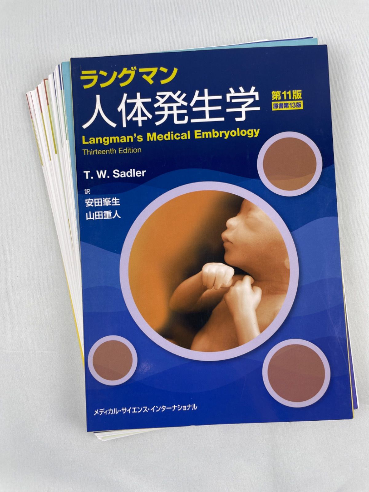 裁断済み MEDSi ラングマン人体発生学 第11版原書第13版 - 健康