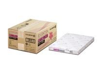 2営業日で発送 XEROX ゼロックス JDコート紙 A3 127.9 m2 250枚 冊×4 ZGAA0269