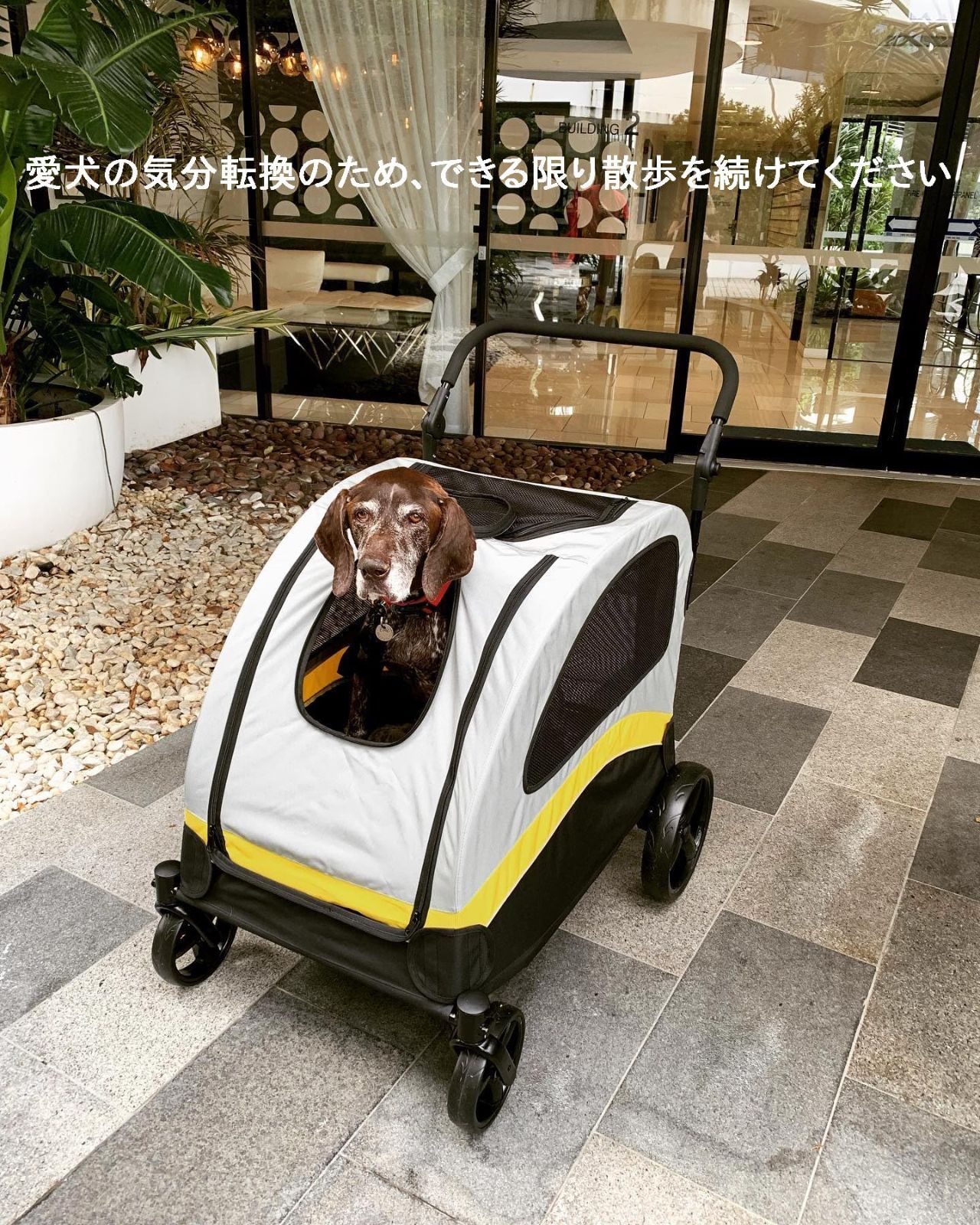 Bingo Paw ペットカート　大型犬　飛び出し防止　バギー Amazon.co.jp: BingoPaw ペットカート 中型犬 大型犬 カート