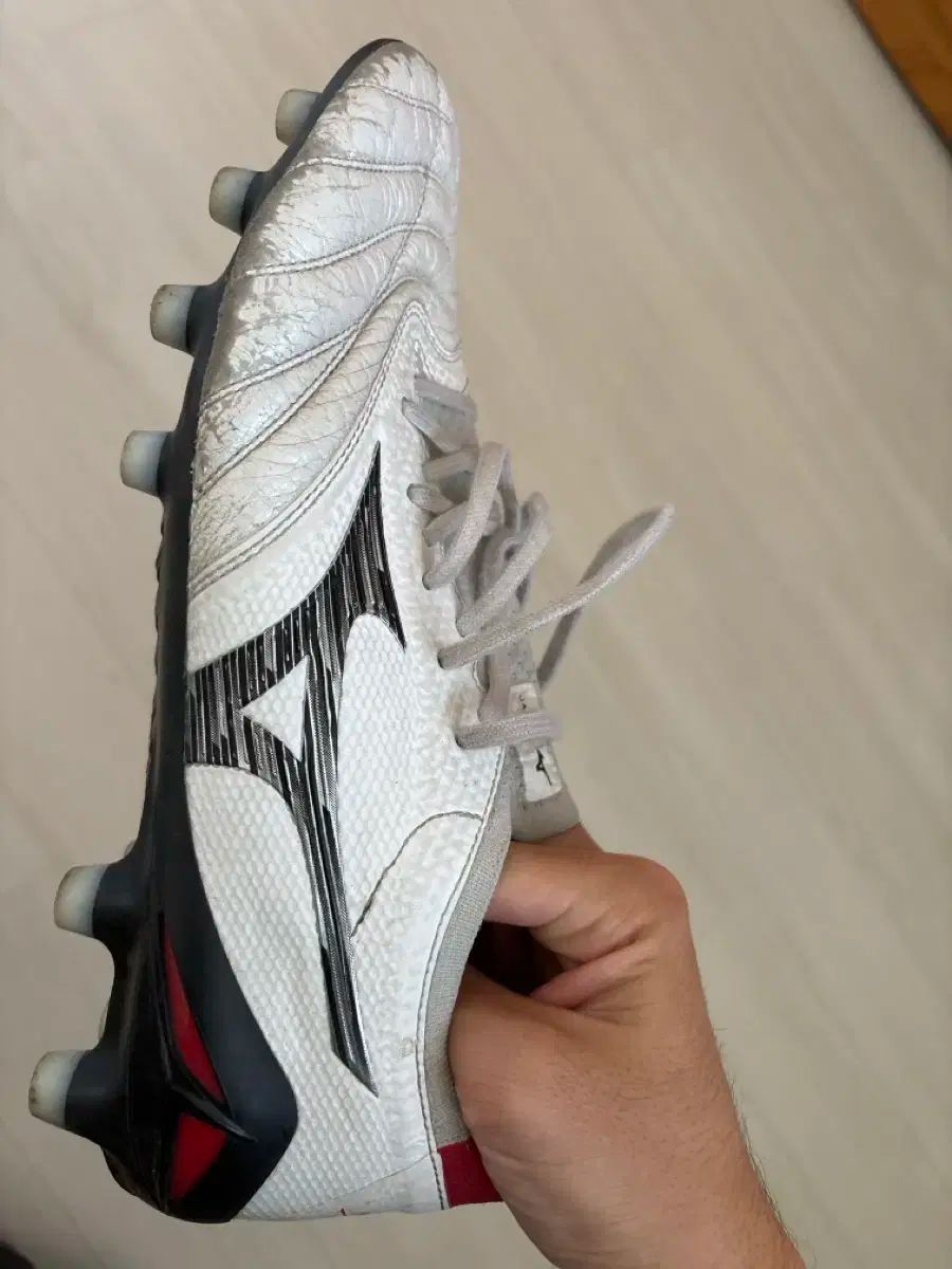 別注‼︎美品⭐️ルースイソンブラ×デスポルチ【室内用27㎝】箱付き