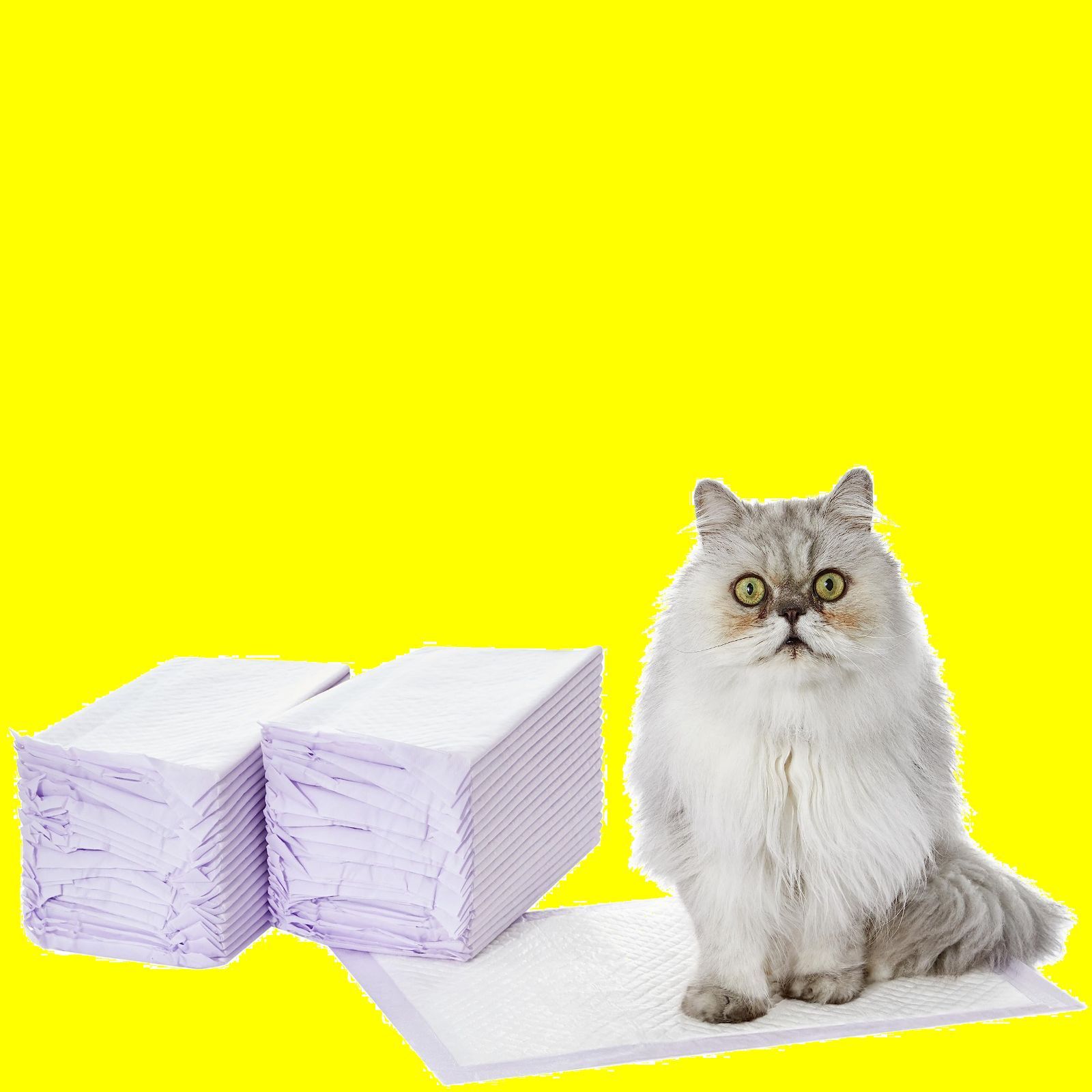 新着商品 無香パープル 40枚セット 猫用トイレシート ベーシック