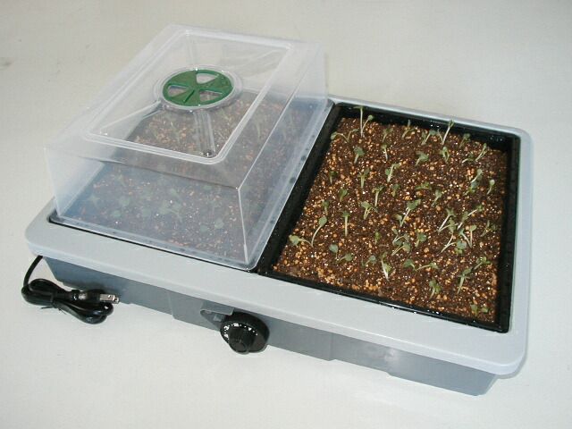 愛菜花PG-10 新型リニューアル品 室内用発芽育苗器～ヒーター＆サーモスタット内蔵型 愛 菜 花 あいさいか 昭和精機工業