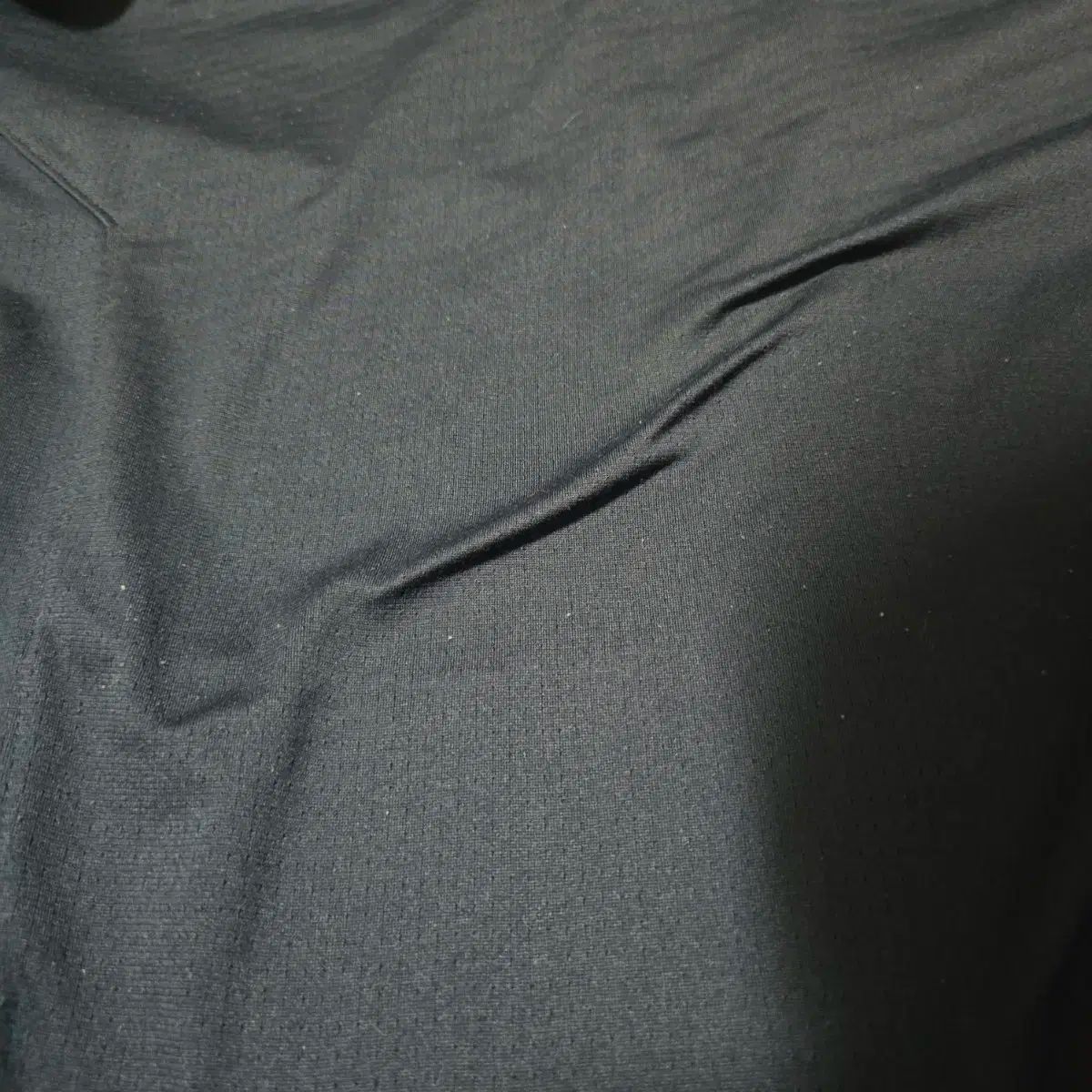 フード付きジップアップ 2XL