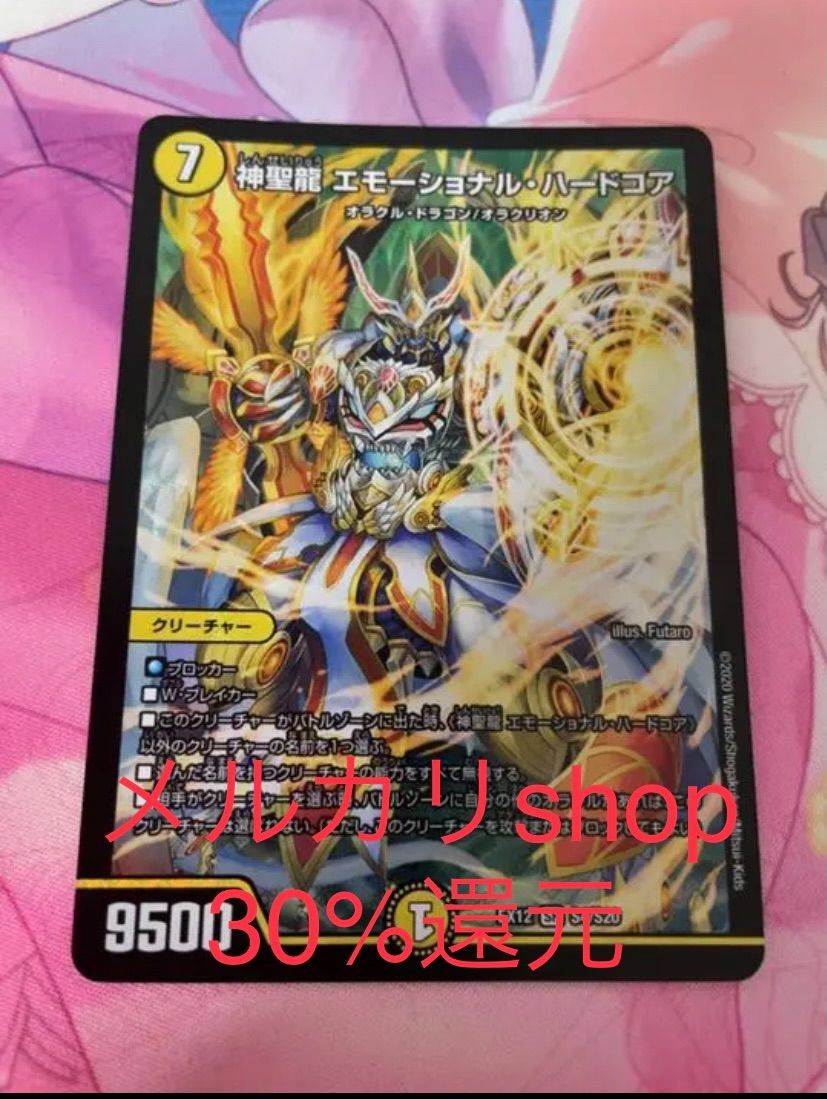 神聖龍 エモーショナル・ハードコア - メルカリ