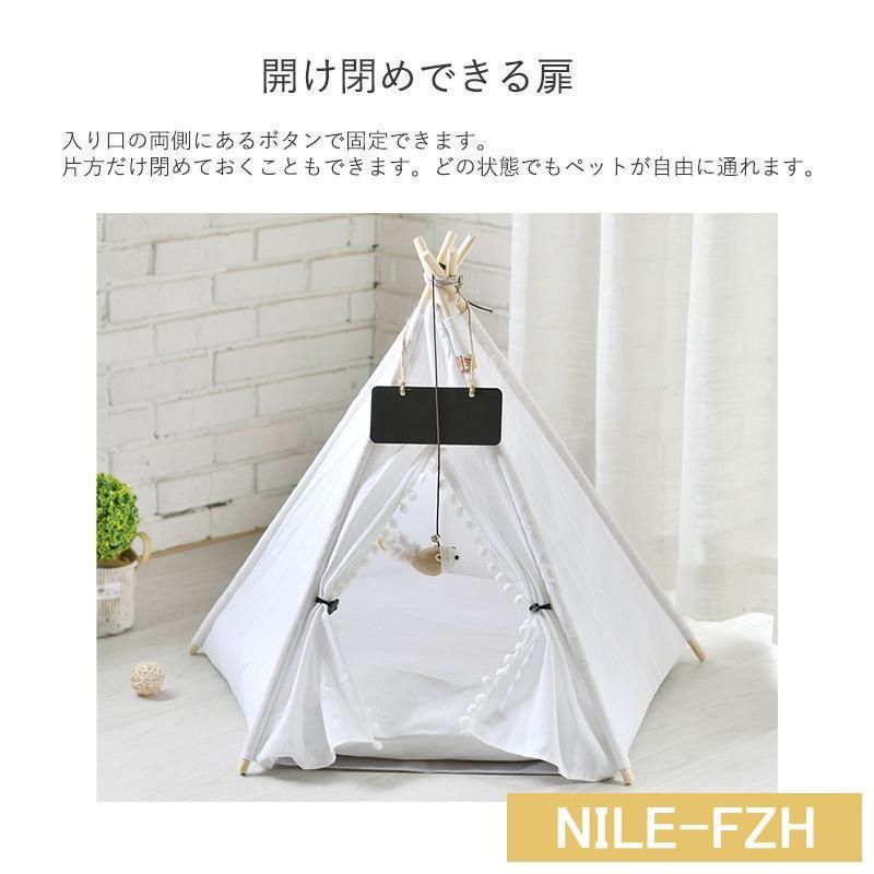 小型犬