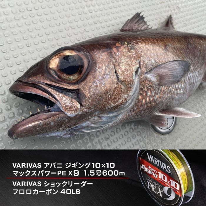 新品・4営業日で発送】バリバス アバニ ジギング10X10マックス