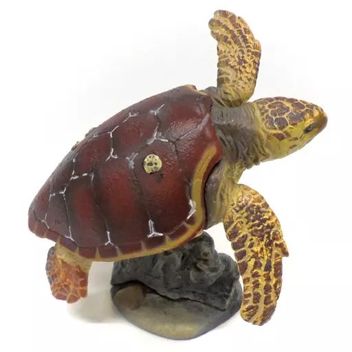 中古】トレーディングフィギュア 38.アカウミガメ 「週刊 日本の天然 