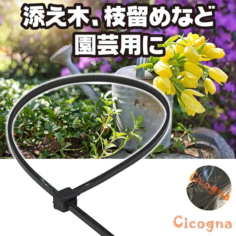 500本 1