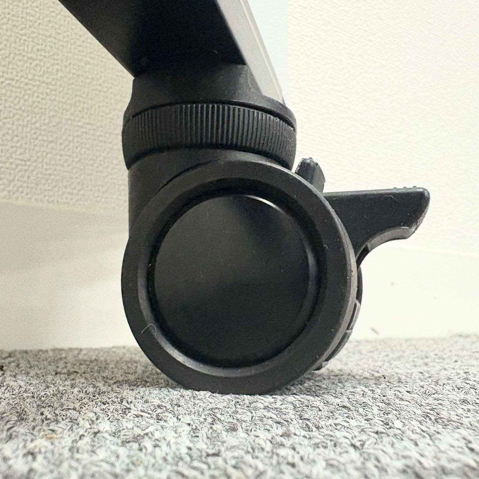 直接引取 愛知県